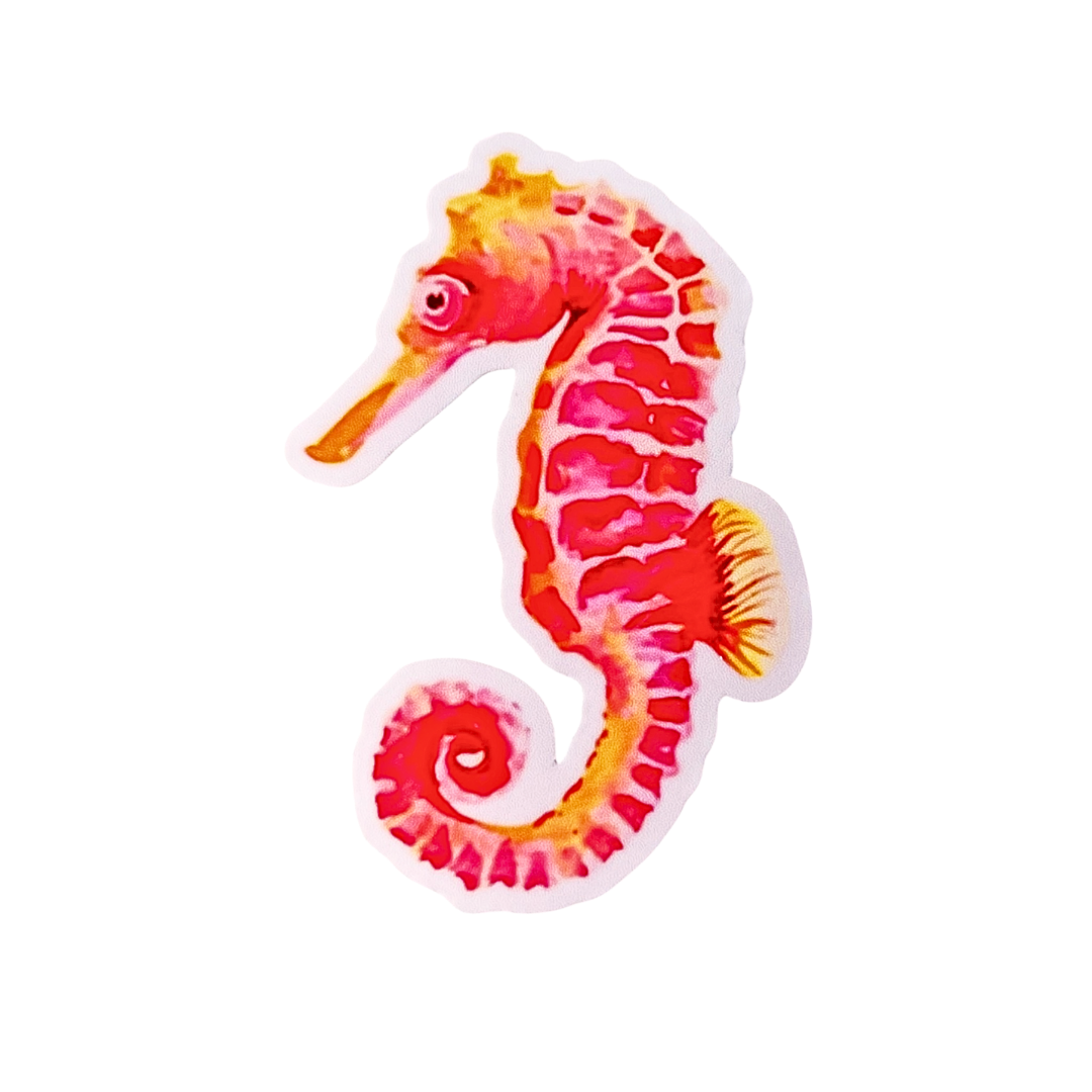 Cutie Seahorse Sticker