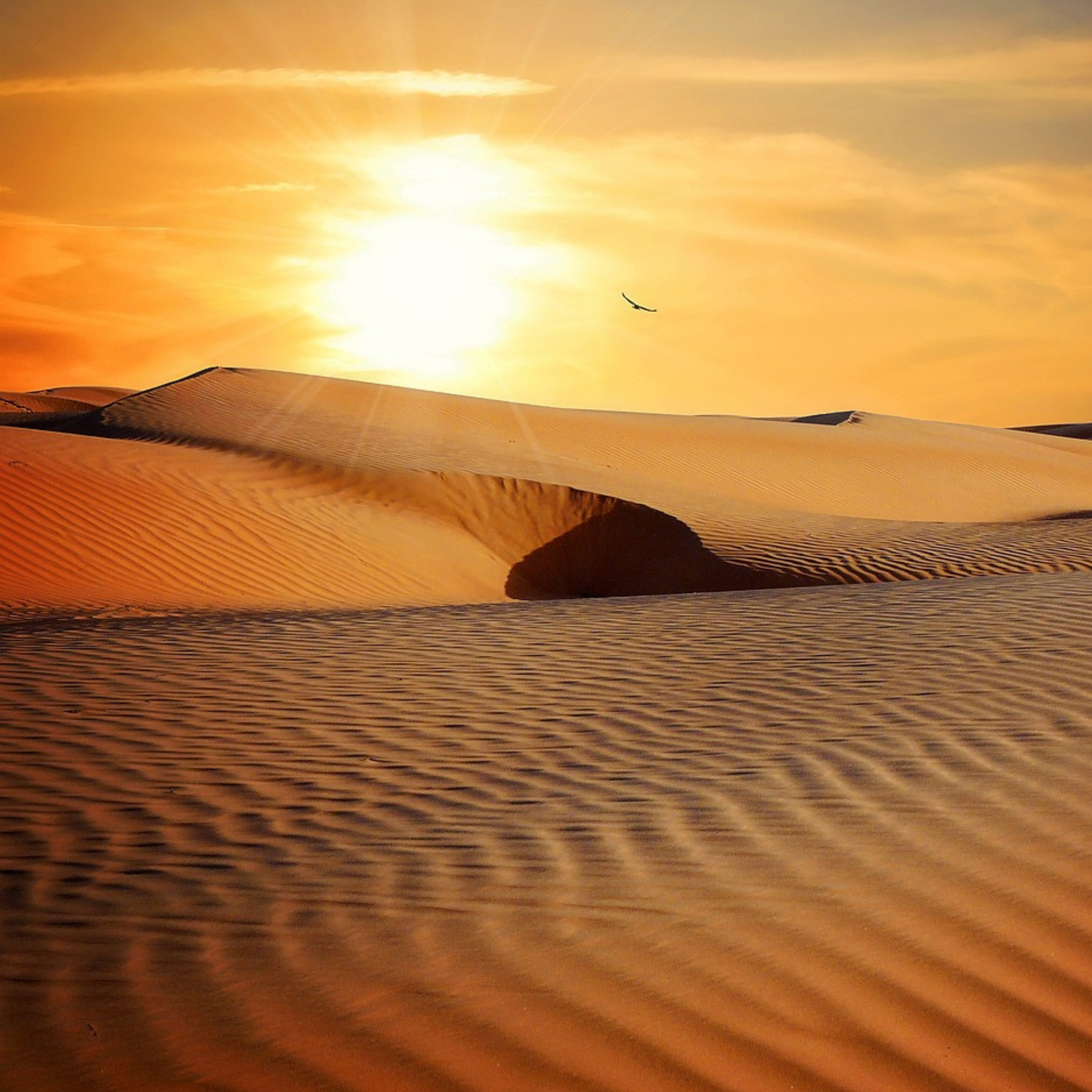 Dune Candle
