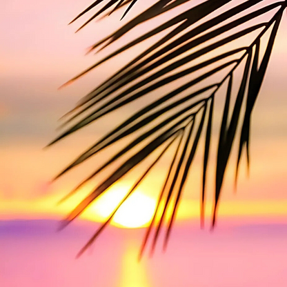 Le Soleil Candle